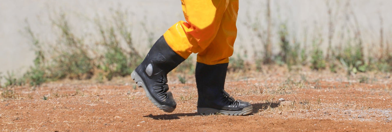 Waders