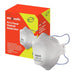 P2 3-Panel Flat fold Respirator